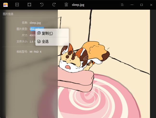 GXDE Image Viewer supports copying image info