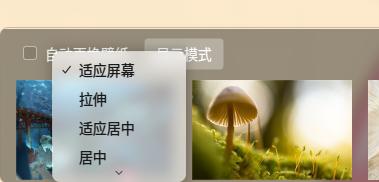 Wallpaper display mode adjustment