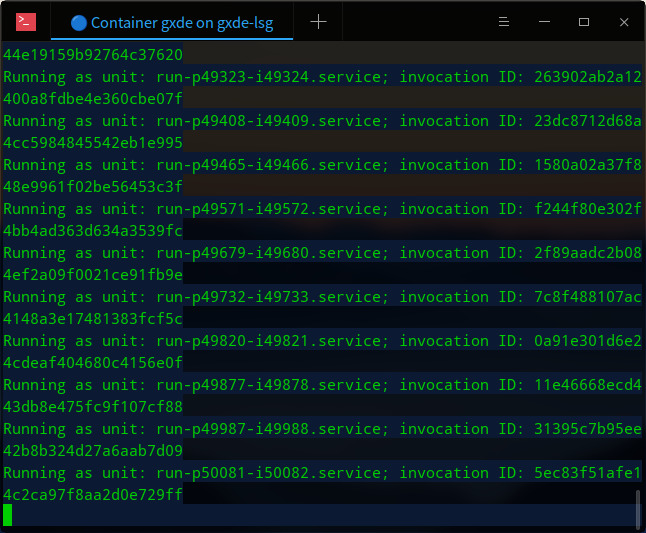 Terminal Output